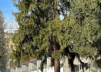 Foto 23 - Trilocale Via Montello
 
7, Bardonecchia - foto 22