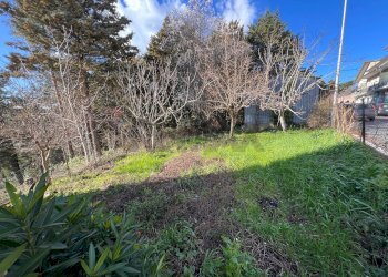 Giardino - Casa indipendente Via ponti rossi
 
snc, Fragneto Monforte - foto 4