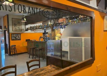 Foto 13 - Attività Commerciale Via Santa Croce, San Nicola la Strada - foto 13