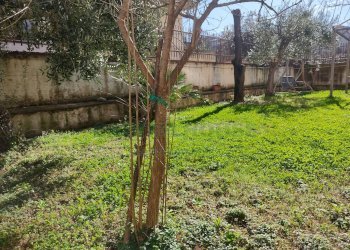 Foto 32 - Trilocale sirignano, Sirignano - foto 32