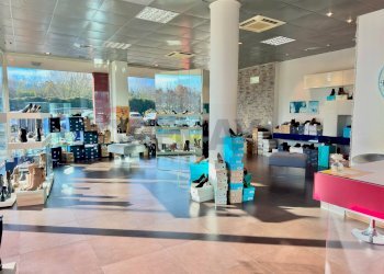 Palestra - Shop Via Luca della Robbia
 
24/b, Reggio nell'Emilia - photo 16