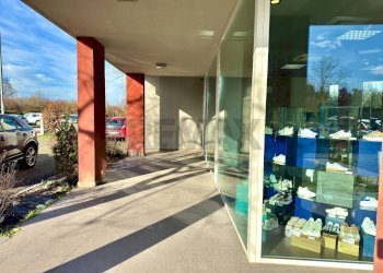 Terrazza - Shop Via Luca della Robbia
 
24/b, Reggio nell'Emilia - photo 18