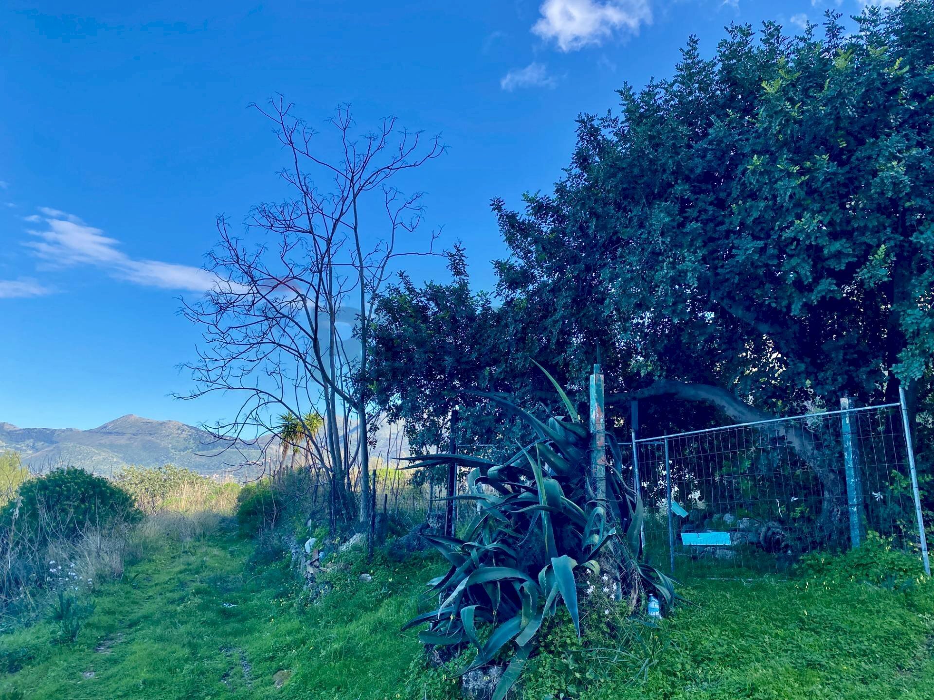 Giardino - Rustic via alaska, Carini - photo 2