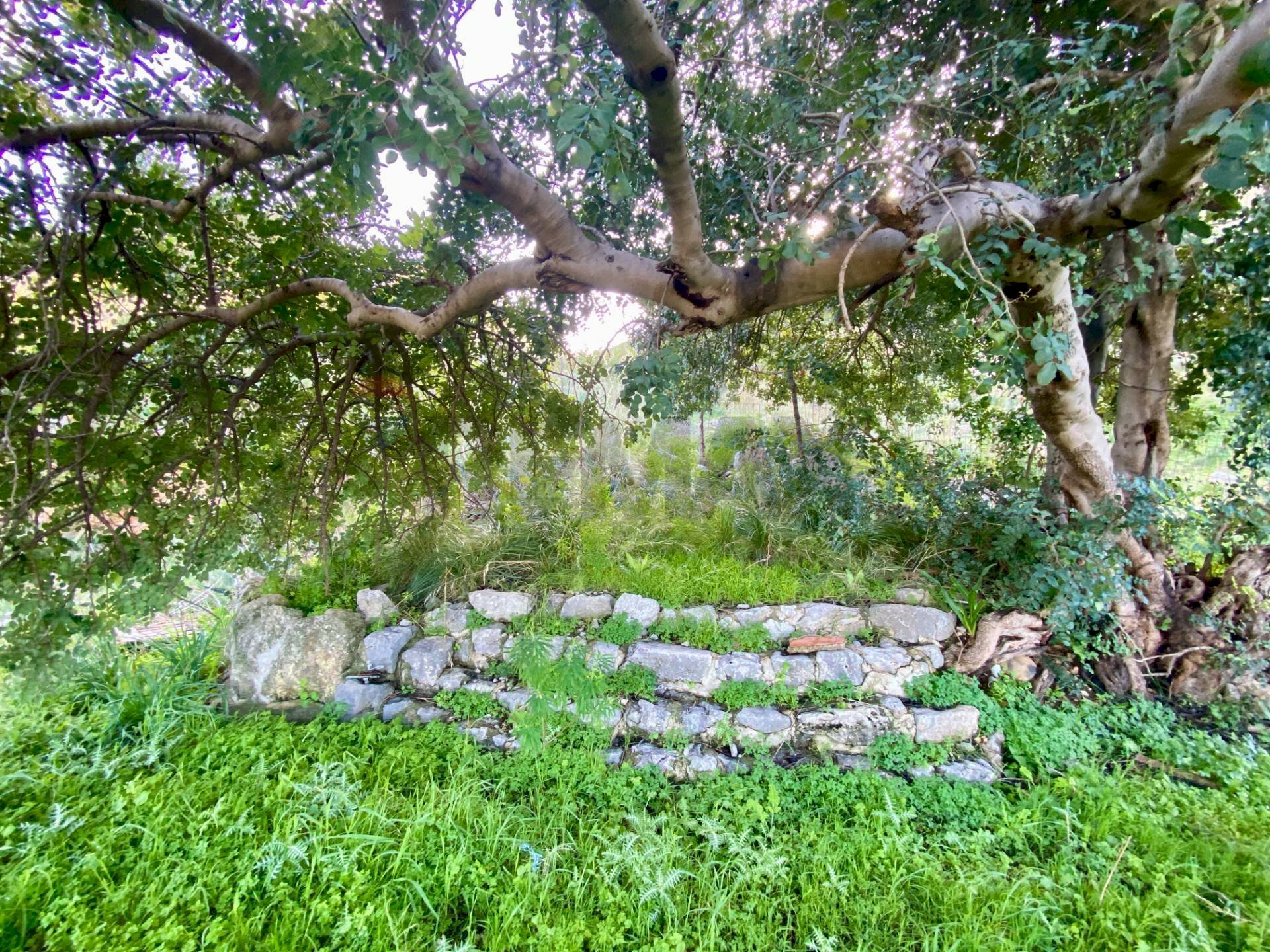 Giardino - Rustic via alaska, Carini - photo 3