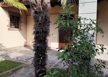 Foto 3 - Trilocale VIA PELABROCCO
 
39, Castelli Calepio - foto 3