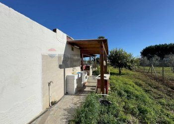 Terrazza - Casa indipendente Torre Santa Susanna - foto 7