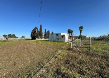 Giardino - Casa indipendente Torre Santa Susanna - foto 9