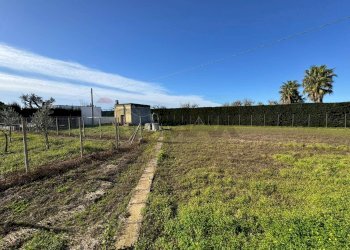 Giardino - Casa indipendente Torre Santa Susanna - foto 11