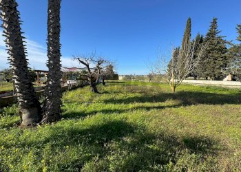 Giardino - Casa indipendente Torre Santa Susanna - foto 12