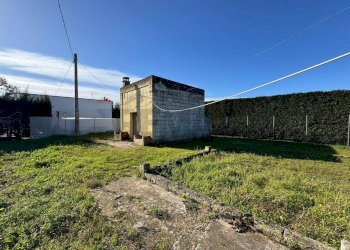 Giardino - Casa indipendente Torre Santa Susanna - foto 13