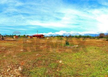 Giardino - Independent house Galatone - photo 11