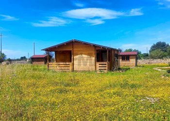 Casa all\'aperto - Independent house Galatone - photo 18