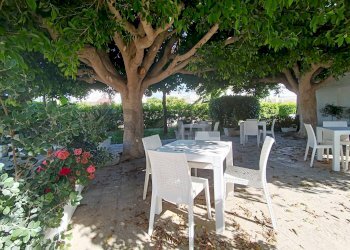 Foto 17 - Locale Commerciale Torre Santa Sabina
 
snc, Carovigno - foto 17