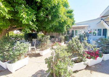 Foto 18 - Locale Commerciale Torre Santa Sabina
 
snc, Carovigno - foto 18