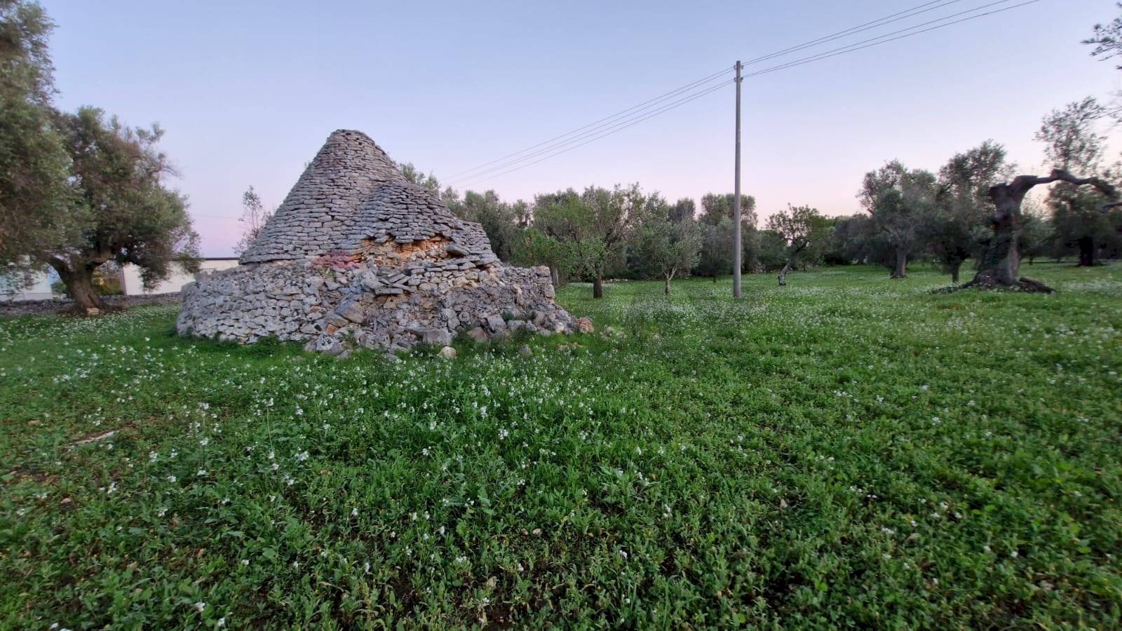 Giardino - Baita Contrada Petrelli
snc, Ceglie Messapica - foto 2