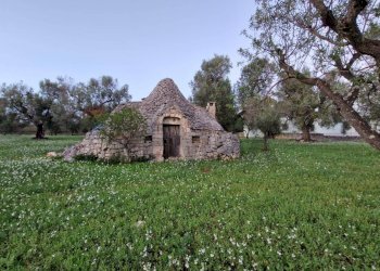Casa all\'aperto - Baita Contrada Petrelli
 
snc, Ceglie Messapica - foto 1