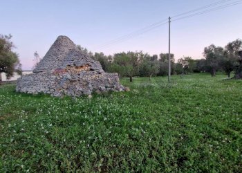 Giardino - Baita Contrada Petrelli
 
snc, Ceglie Messapica - foto 2