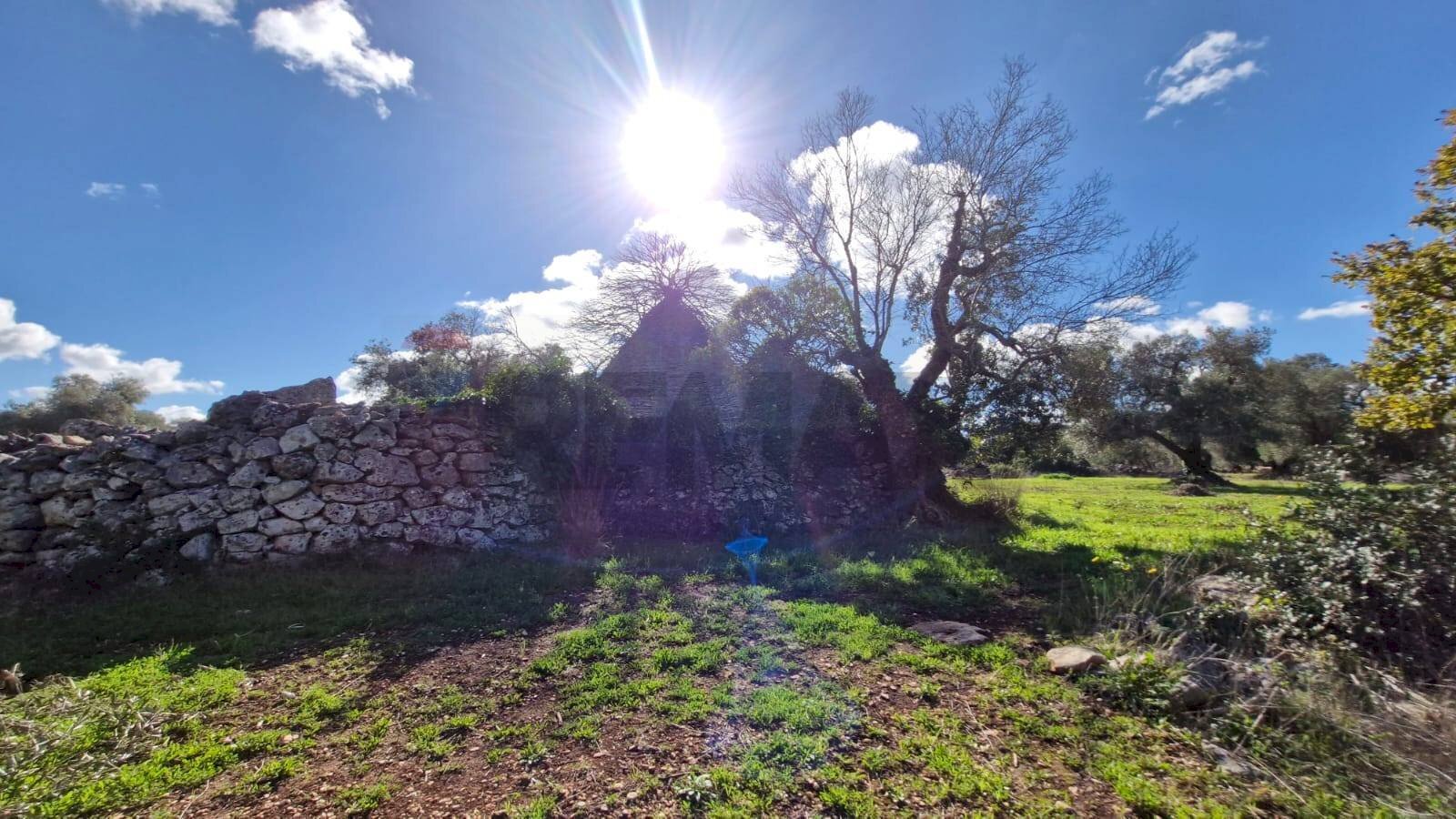 Giardino - Baita Contrada Fedele Grande
 
snc, Ceglie Messapica - foto 1