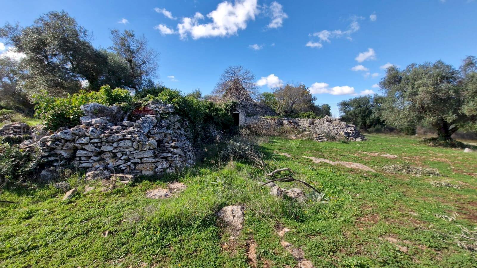 Giardino - Baita Contrada Fedele Grande
 
snc, Ceglie Messapica - foto 3