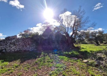 Giardino - Baita Contrada Fedele Grande
 
snc, Ceglie Messapica - foto 1