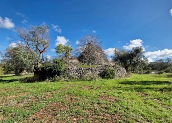 Giardino - Baita Contrada Fedele Grande
 
snc, Ceglie Messapica - foto 2