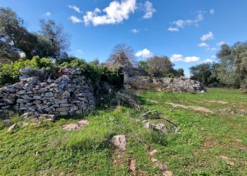 Giardino - Baita Contrada Fedele Grande
 
snc, Ceglie Messapica - foto 3