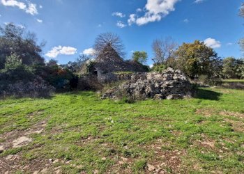 Giardino - Baita Contrada Fedele Grande
 
snc, Ceglie Messapica - foto 4