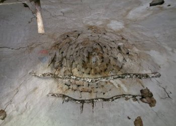 Dettagli - Baita Contrada Fedele Grande
 
snc, Ceglie Messapica - foto 10