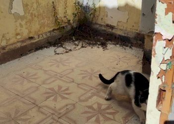 Foto 5 - Rustico Monreale - foto 5