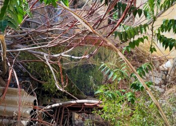 Foto 10 - Rustico Monreale - foto 10