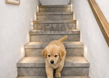 Scale - Casa semi indipendente via roma
 
59, Sissa Trecasali - foto 11