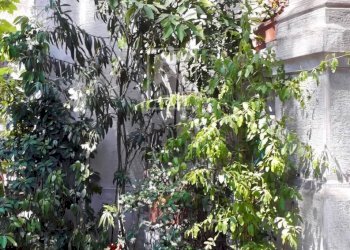 Foto 24 - Villa Via Giuseppe Giacosa, Milano - foto 24