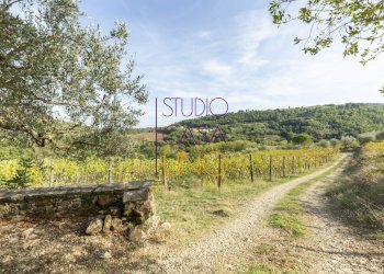 Foto 3 - Rustic via chiantigiana
 
78, Radda in Chianti - photo 3