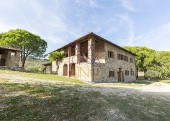 Foto 4 - Rustic via chiantigiana
 
78, Radda in Chianti - photo 4