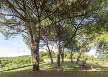 Foto 6 - Rustic via chiantigiana
 
78, Radda in Chianti - photo 6