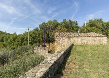 Foto 8 - Rustic via chiantigiana
 
78, Radda in Chianti - photo 8