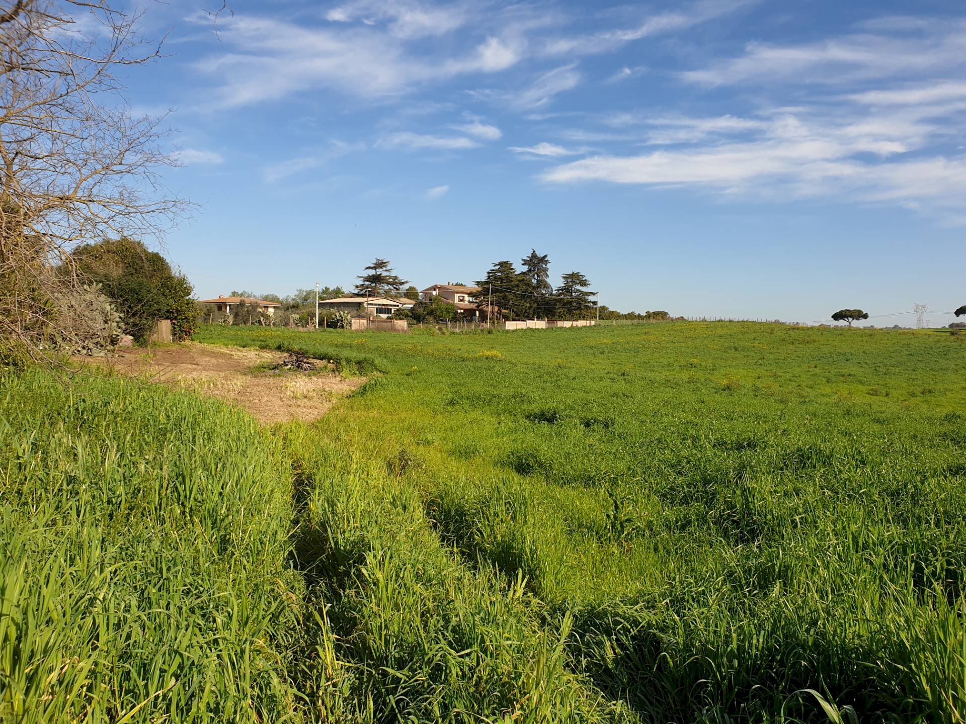 Foto 3 - Agricultural land Via delle vittorie
 
1, Pomezia - photo 3