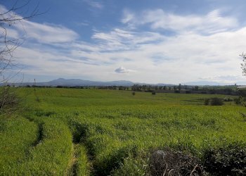 Foto 2 - Agricultural land Via delle vittorie
 
1, Pomezia - photo 2