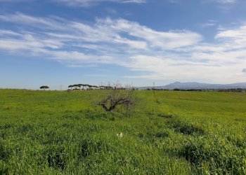 Foto 5 - Agricultural land Via delle vittorie
 
1, Pomezia - photo 5