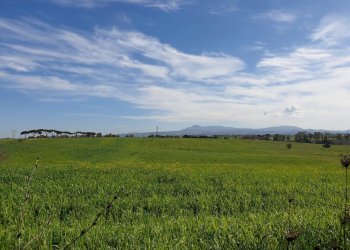 Foto 7 - Agricultural land Via delle vittorie
 
1, Pomezia - photo 7