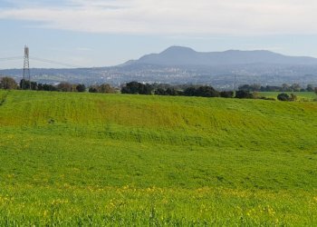 Foto 8 - Agricultural land Via delle vittorie
 
1, Pomezia - photo 8