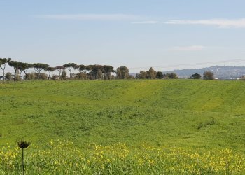 Foto 10 - Agricultural land Via delle vittorie
 
1, Pomezia - photo 10