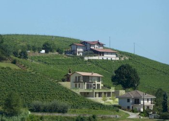 Terreno - Villa Località Ornati, Monforte d'Alba - foto 4