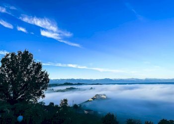 Vista - Villa Località Ornati, Monforte d'Alba - foto 5