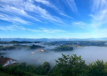 Vista - Villa Località Ornati, Monforte d'Alba - foto 6