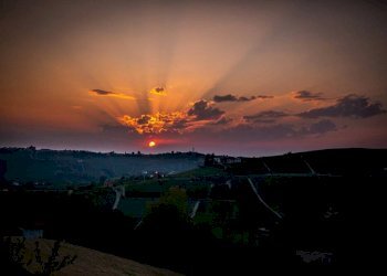 Vista - Villa Località Ornati, Monforte d'Alba - foto 7