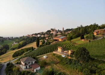 Vista - Villa Località Ornati, Monforte d'Alba - foto 10