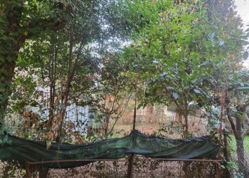 Terreno - Trilocale Bologna (zona Bolognina) - foto 7