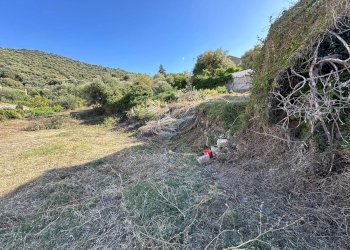 Foto 4 - Terreno edificabile via San Nicola, Santa Maria Coghinas - foto 4