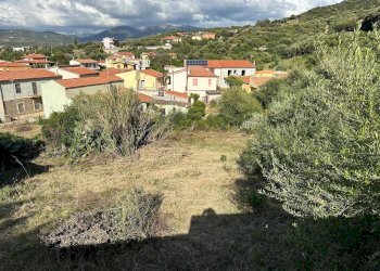 Foto 6 - Terreno edificabile via San Nicola, Santa Maria Coghinas - foto 6